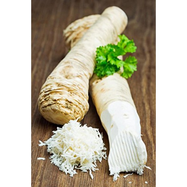 Horseradish Root, Sauget, 6 Ounces Sold By Weight. Great For P