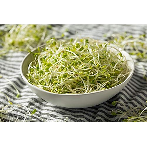 Daltons Favorite Mix, Non Gmo - 2 Oz - Broccoli, Clover &Amp; Fenug