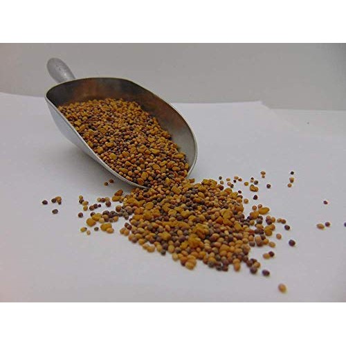 Daltons Favorite Sprouting Mix- Non-GMO, 2 oz Mix of Broccoli, ...