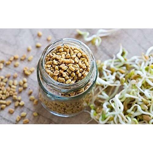 Fenugreek Sprouting Seed, Non Gmo -14 Oz - Country Creek Acres B
