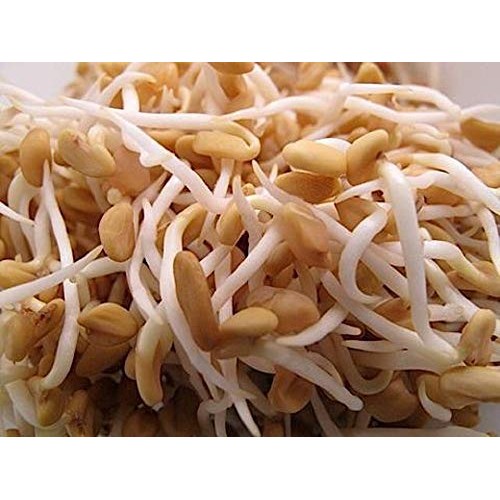 Fenugreek Sprouting Seed, Non Gmo - 5 Oz - Country Creek Acres B