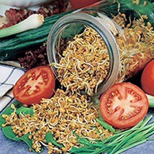 Fenugreek Sprouting Seed, Non Gmo - 6 Oz - Country Creek Acres B