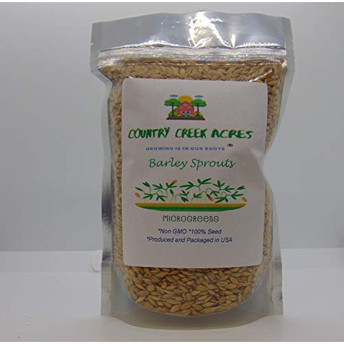 Whole Barley Seeds For Barley Grass Microgreen, Juice Sprouting