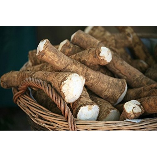 Country Creek Llc Horseradish Root, Sauget, 8 Ounces Sold By We