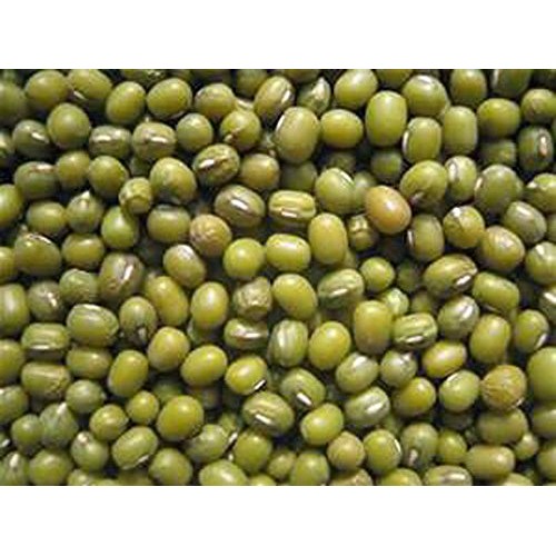 Mung Bean Sprouting Seed - 12 Oz - Country Creek Brand - Dried M