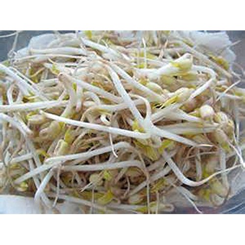 Mung Bean Sprouting Seed-14 Oz - Country Creek Brand - Dried Mun