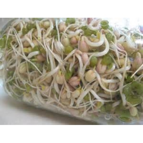Mung Bean Sprouting Seed - 4 Oz - Country Creek Brand - Dried Mu
