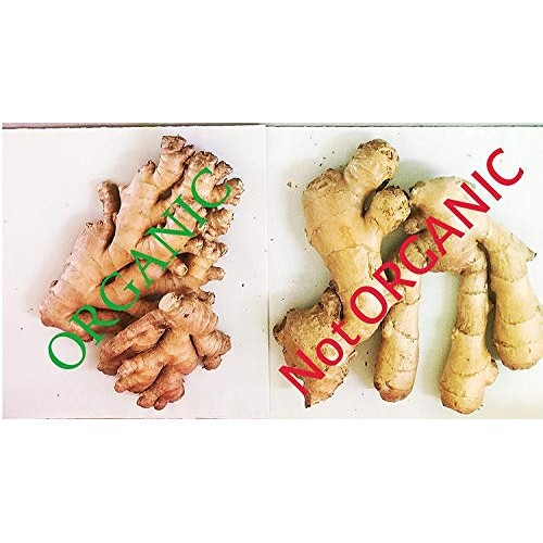 Ginger Root, Fresh, Whole, Non Gmo, Organic, 10 Ounces, Simply D