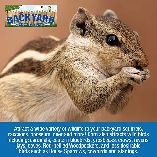 Whole Corn All Natural Made In The Usa For Birds, Deer, Turkey,