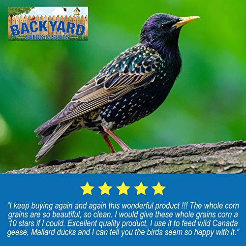 Whole Corn All Natural Made In The Usa For Birds, Deer, Turkey,