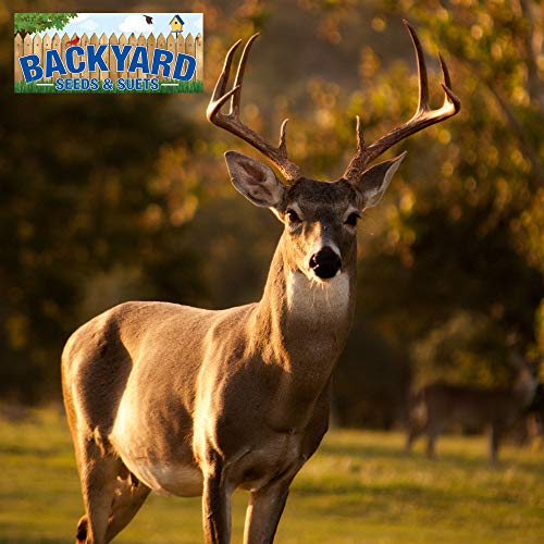 Whole Corn All Natural Made In The Usa For Birds, Deer, Turkey,