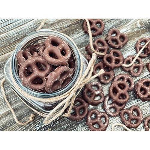 Funtasty Gift Box Gourmet Dark Chocolate Covered Mini Pretzels,