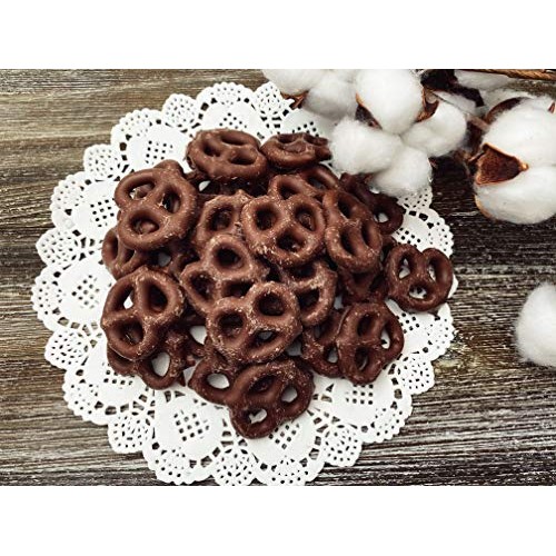 Funtasty Gift Box Gourmet Dark Chocolate Covered Mini Pretzels,