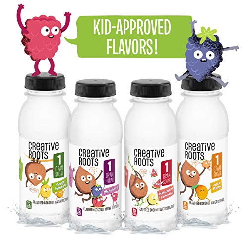 Creative Roots Mixed Berry Flavored Coconut Water Kids Beverage
