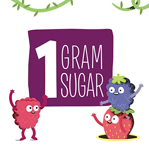 Creative Roots Mixed Berry Flavored Coconut Water Kids Beverage