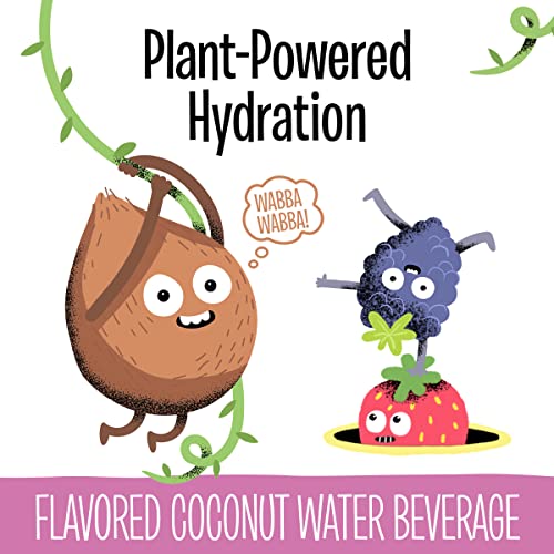 Creative Roots Mixed Berry Flavored Coconut Water Kids Beverage