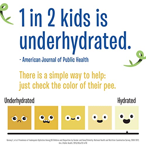 Creative Roots Mixed Berry Flavored Coconut Water Kids Beverage