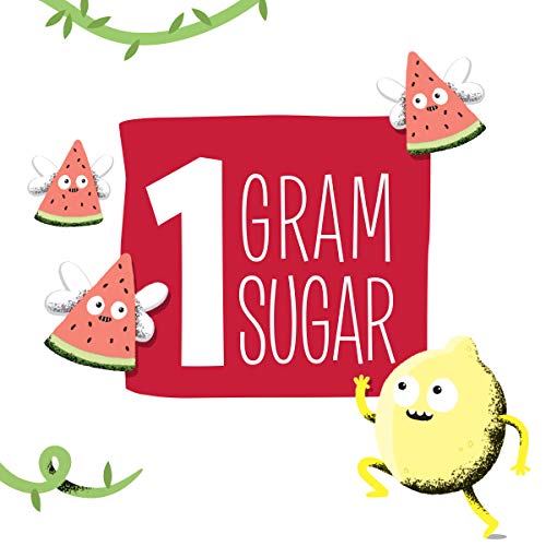 Creative Roots Watermelon Lemonade Naturally Flavored Coconut Wa