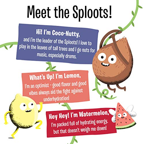 Creative Roots Watermelon Lemonade Naturally Flavored Coconut Wa