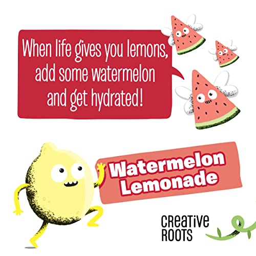 Creative Roots Watermelon Lemonade Naturally Flavored Coconut Wa