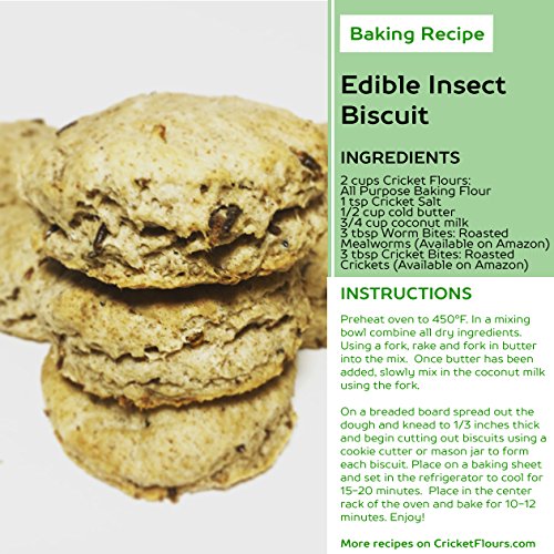 Cricket Flour: All Purpose Baking Flour 12Oz Blended Mix - Mad