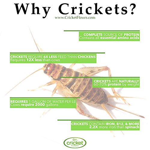 Cricket Flour: All Purpose Baking Flour 12Oz Blended Mix - Mad