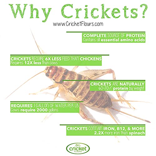 Cricket Bites Gift 5-Pack Of Assorted Flavors North American Cr