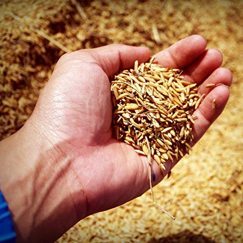 Premium Quality Crown Khushboodaar White Parboiled Sella Basma