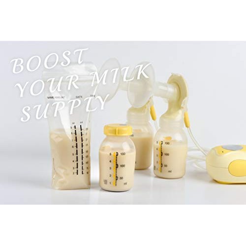 Crunch N Flow Lactation Chocolate Chip Oatmeal Cookies 10 Packs