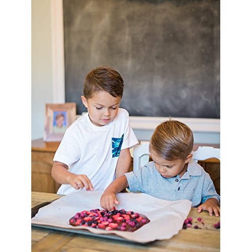 Crunchies Crispy 100% All Natural Freeze-Dried Fruits, 1 Ounce