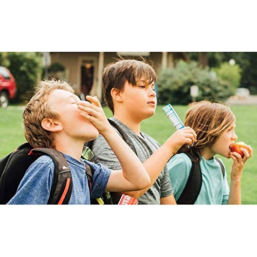 Crunchsters Sprouted Protein Snack, Gluten-Free, Nut-Free, Vegan