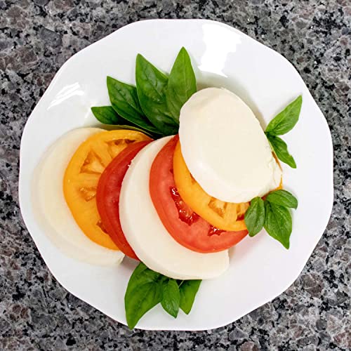 Mozzarella And Ricotta Cheese Kit | Cultures For Health | Starte