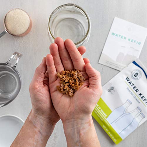 Cultures For Health Water Kefir Grains | Easy To Maintain Kefir Cultures For Health Water Kefir Grains | Easy To Maintain Kefir