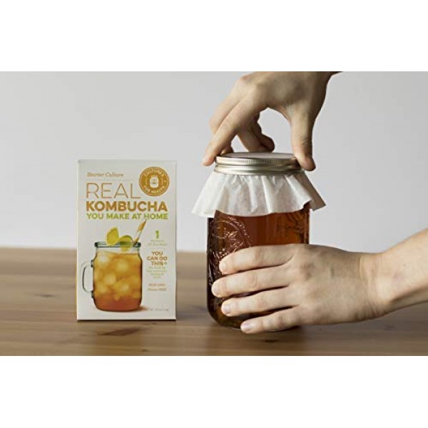 Kombucha Scoby Starter Culture | Cultures For Health | Make Home