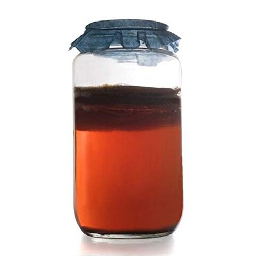 Kombucha Scoby Starter Culture | Cultures For Health | Make Home
