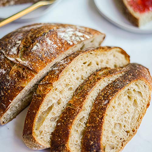 San Francisco Sourdough Style Starter Culture | Cultures For Hea
