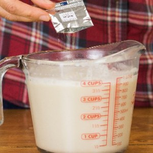 Vegan Yogurt Starter Culture | Cultures For Health | Make Delici