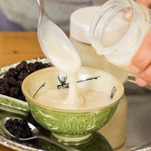 Vegan Yogurt Starter Culture | Cultures For Health | Make Delici