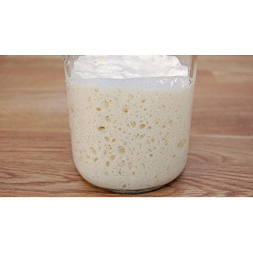Whole Wheat Sourdough Starter Culture | Cultures For Health | Ho