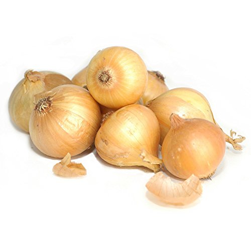 Yellow Onions 10 Lbs.