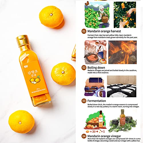 Jeju Mandarin orange vinegar 230g 8.11 fl oz Concentrated Flav...