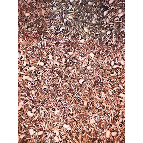 No-Till Cover Crop 10 Seed Mix - Winter Rye, White Clover, Austr...