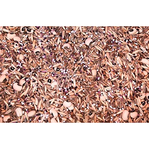 No-Till Cover Crop 10 Seed Mix - Winter Rye, White Clover, Austr...