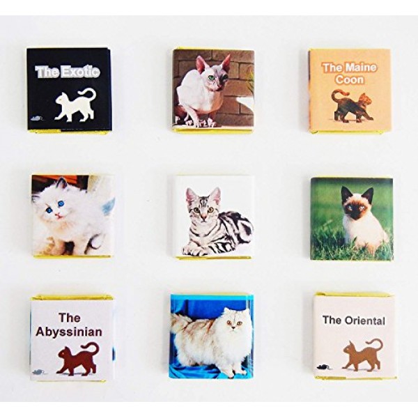CATS a Chocolate gift set for all cat lovers, 5x5in, 1 box Dome...