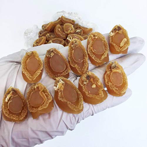 Dabc Oak Land 1Lb=453G/Bag Dried Abalone Baoyu,Dried Seafood Jer