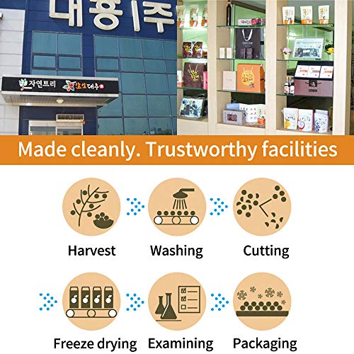 Saeng Saeng 100% Korean Traditional Freeze-Dried Crunchy Fruit C