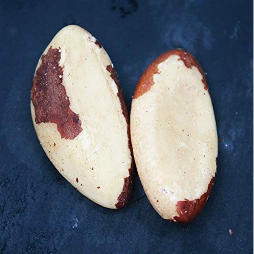 Daily Brazil Nut Multipacks Pack Of 50