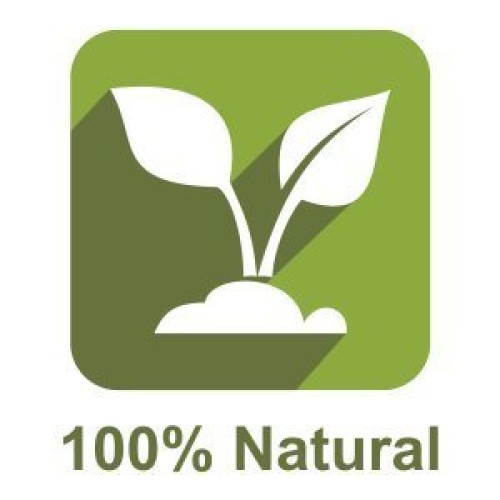 Daily Brazil Nuts Multipacks Pack Of 30