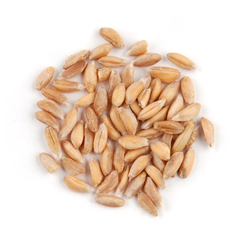Organic Farro, 10 Pound Box
