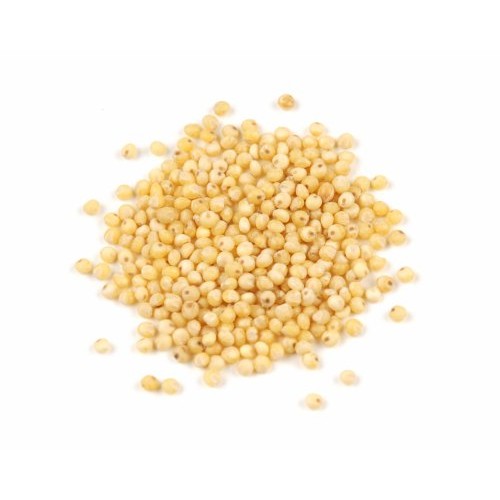 Millet Seed - 10 Lb Bag